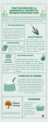 Téléchager l'infographie récapitulative sur les utilisations de la quenouille.