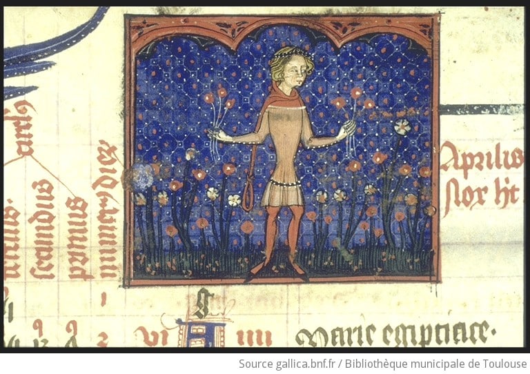 Cueillette de plantes sauvages