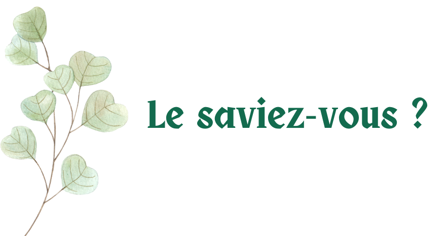 anecdote bosquet sauvage