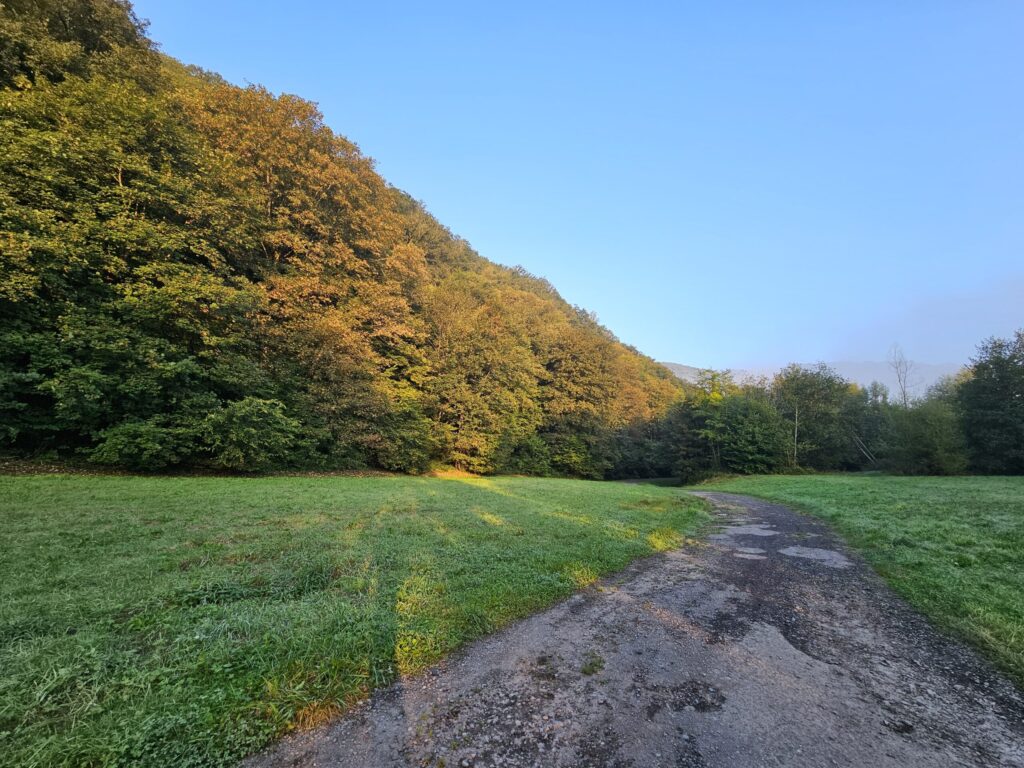 Ardenne ou ardennes ?