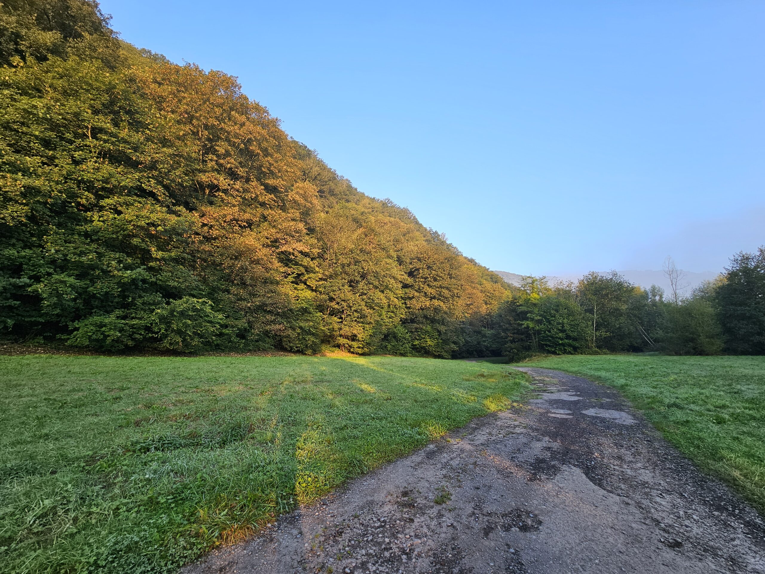 Ardenne ou ardennes ?