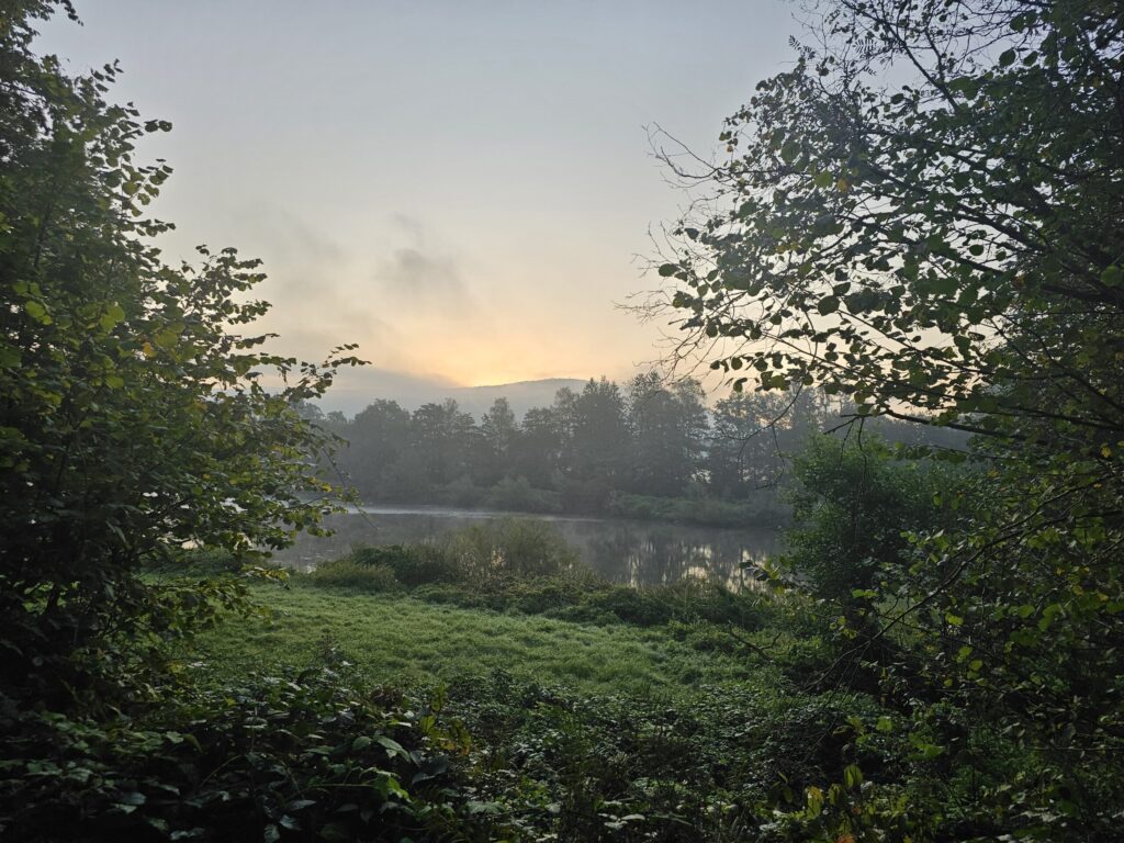 Quelle est l'origine du mot Ardenne ?