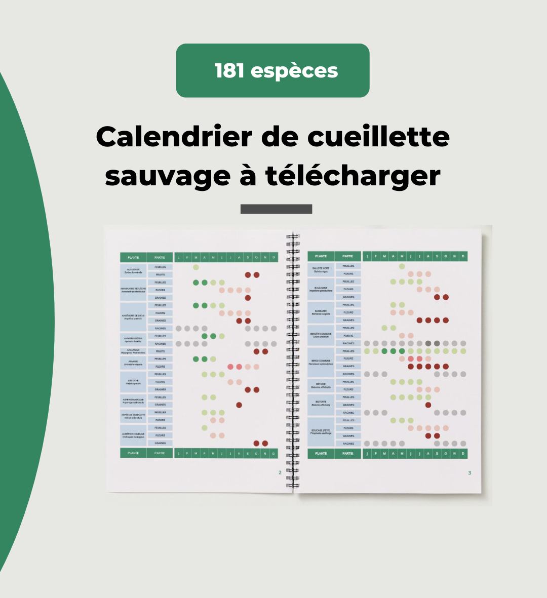 Calendrier de cueillette à télécharger en PDF